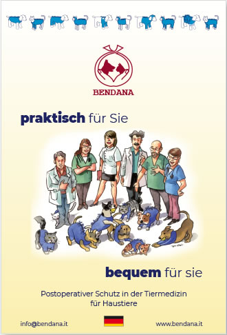 Broschüre