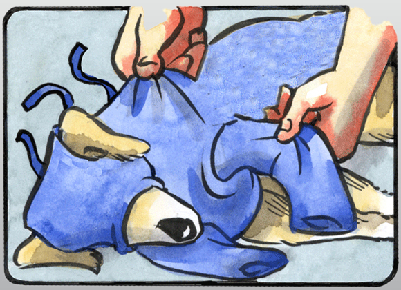091-06